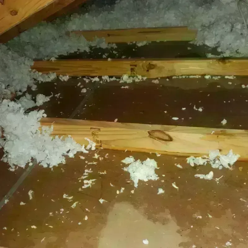 Attic Water Damage in Dacula, GA