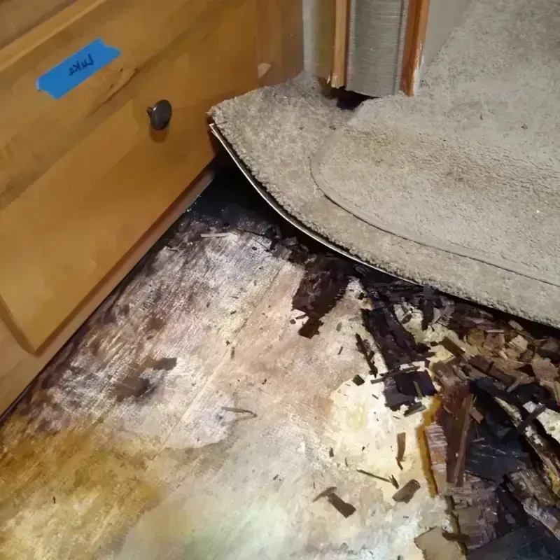 Wood Floor Water Damage in Dacula, GA